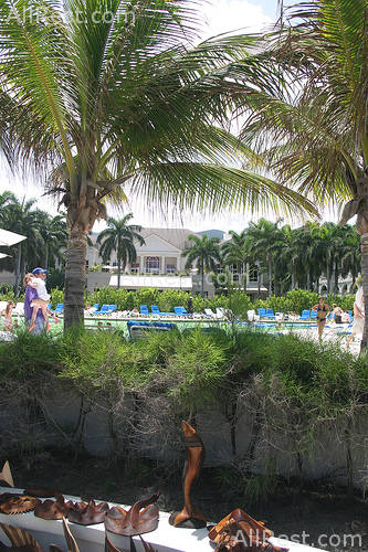 Ritz-Carlton Golf & Spa Resort 88